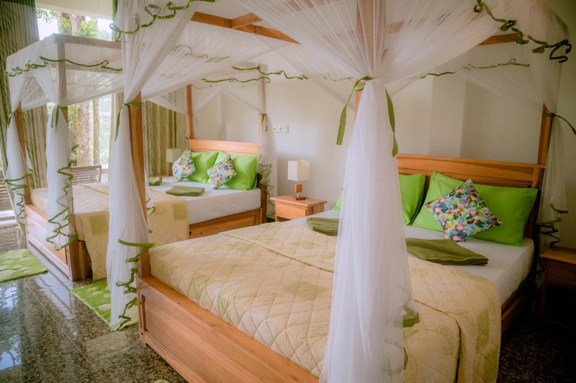 Evergreen Villa - Sinharaja Денияя Екстериор снимка