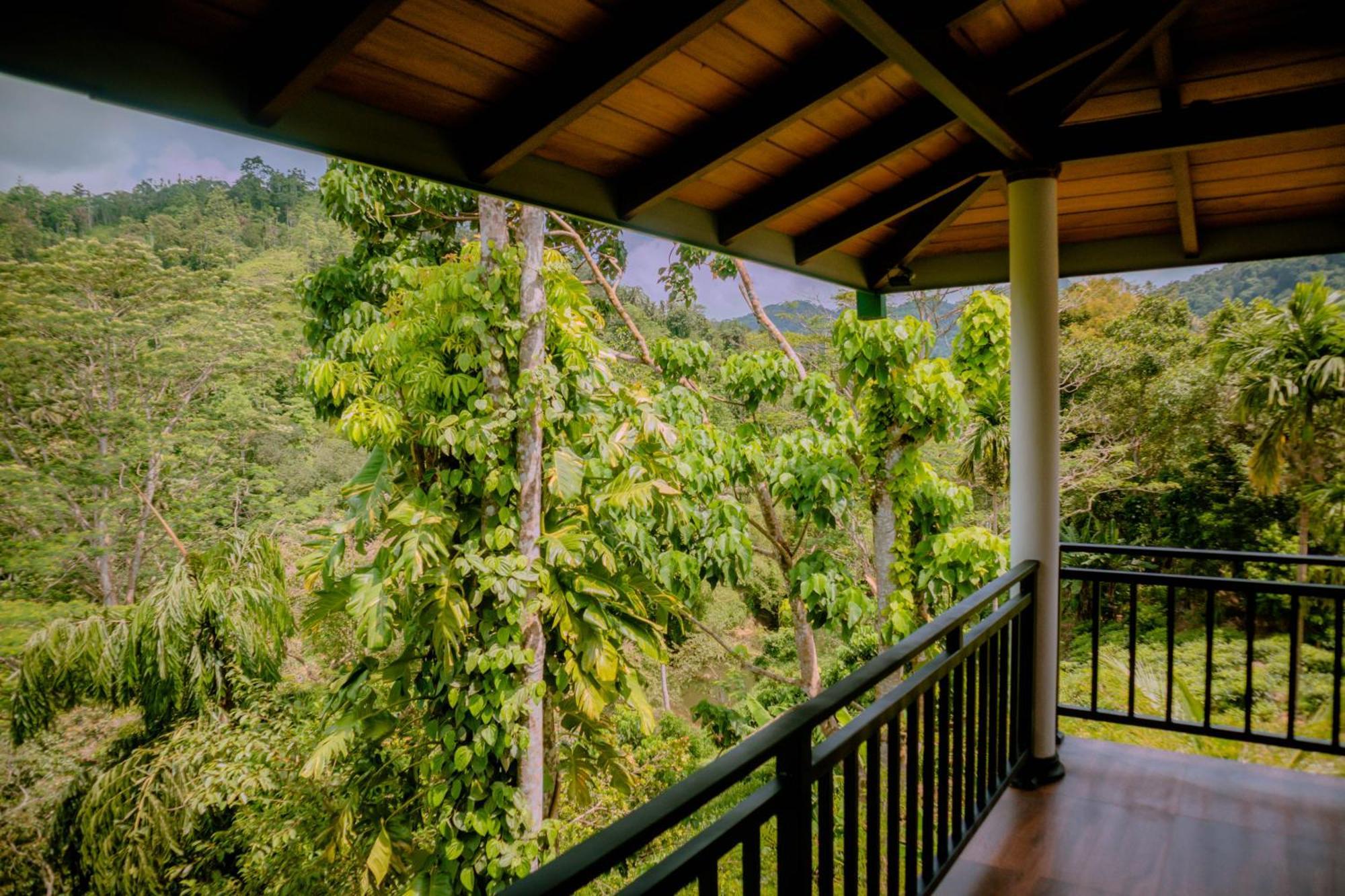 Evergreen Villa - Sinharaja Денияя Екстериор снимка
