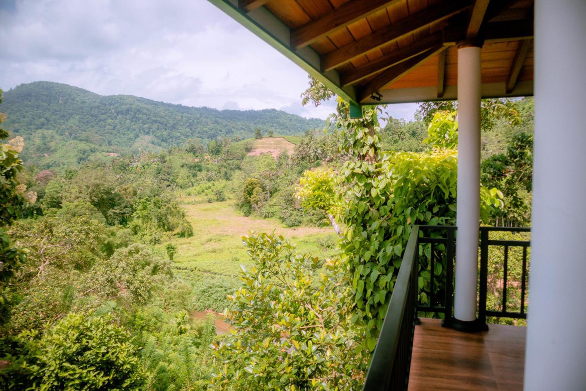 Evergreen Villa - Sinharaja Денияя Екстериор снимка